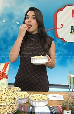 Elena Besser’s brown plaid dress on Today