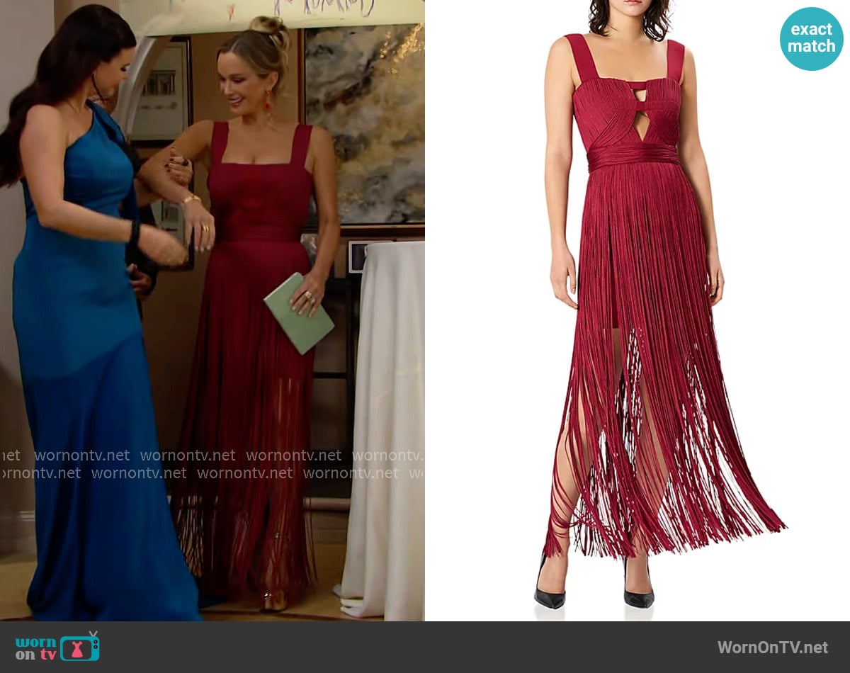 Herve Leger Fringe Gown worn by Donna Logan (Jennifer Gareis) on The Bold and the Beautiful