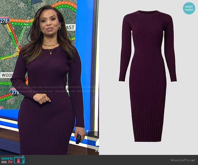 Jason Wu Sweater Sheath Dress worn by Adelle Caballero on Today