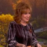Joy’s gray velvet top on The View