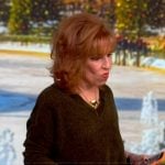 Joy’s v-neck sweater on The View