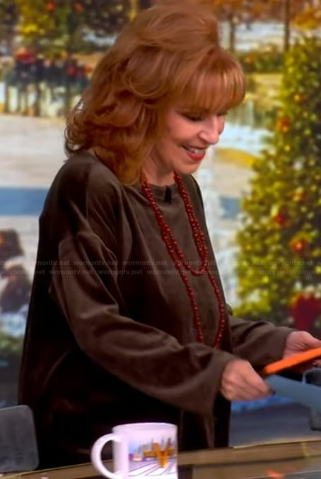 Joy’s brown velvet sweater on The View