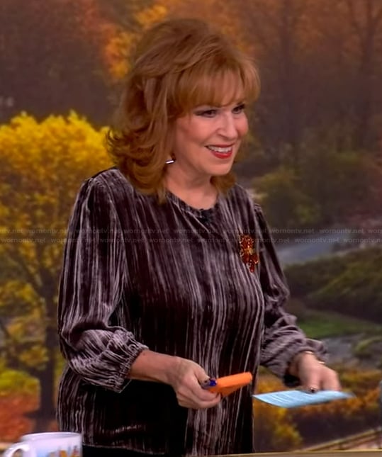 Joy’s gray velvet top on The View