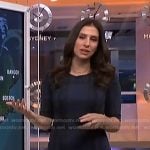 Angie Lassman's blue plaid dress on NBC News Daily