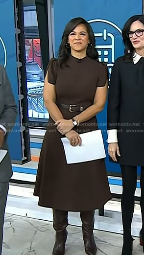 Laura's brown tulip sleeve dress on Today