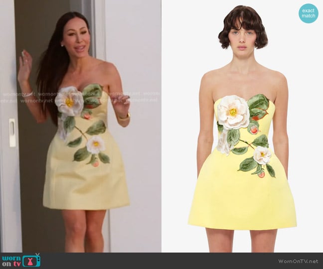 Leo Lin Rosario Appliqué Floral Bustier Mini Dress worn by Angie Katsanevas on The Real Housewives of Salt Lake City