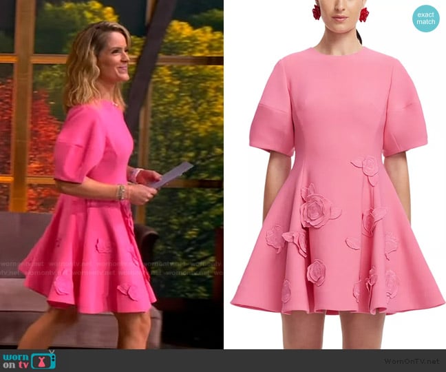 Leo Lin Simona Appliqué Minidress worn by Sara Haines on The View