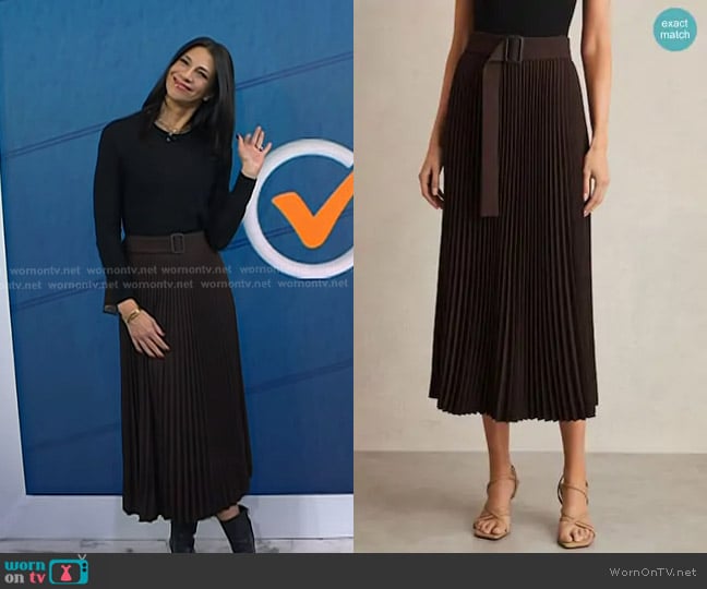 Reiss Ava Pleated Midi Skirt in Chocolate Brown worn by Dr. Natalie Azar on Today