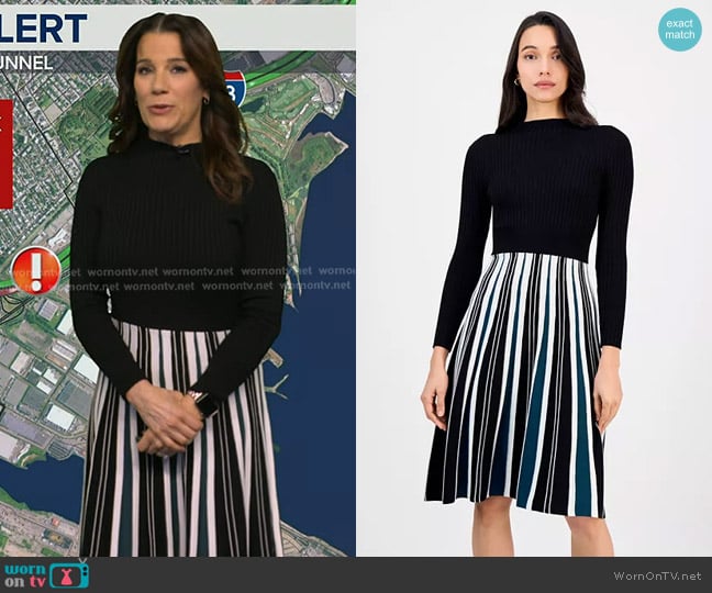 Heather’s striped skirt knit dress on GMA Heather’s striped skirt knit dress on GMA