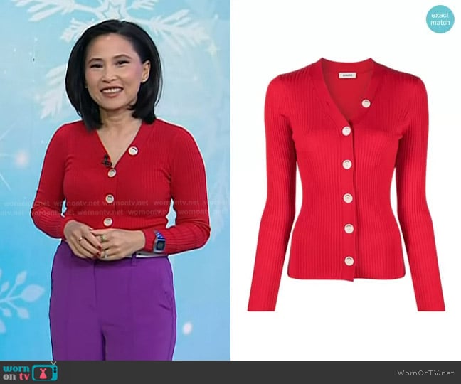 Sandro Gabrielle Ribbed Knit Cardigan worn by Vicky Nguyen on Today