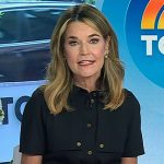 Savannah’s black utility dress on Today