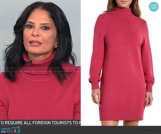 Splendid Freya Turtleneck Long Sleeve Sweater Minidress worn by Darlene Rodriguez on Today