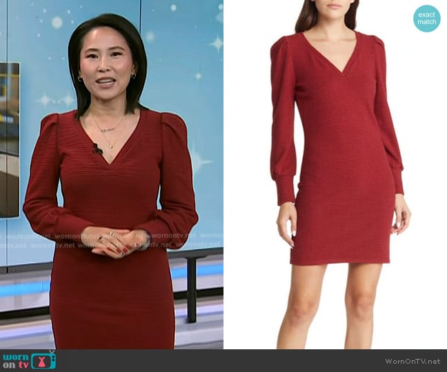 Steve Madden Kadelin Stripe Long Sleeve Sweater Dress worn by Vicky Nguyen on Today