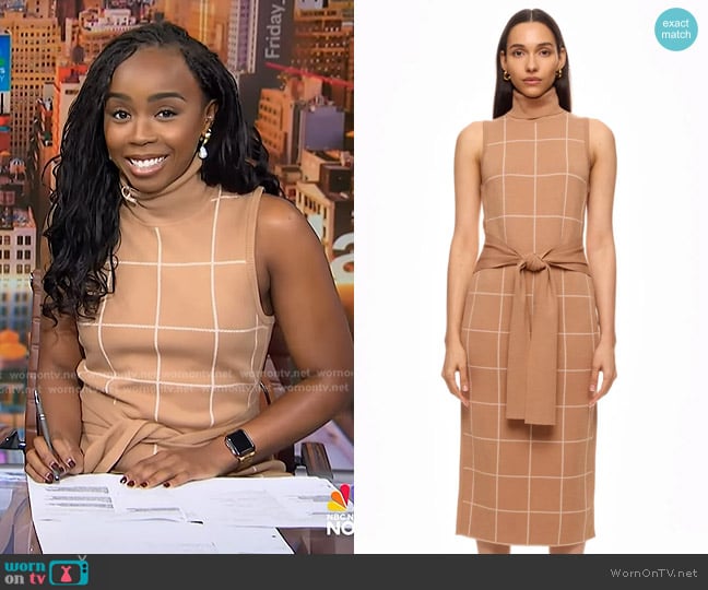 Toccin Sleeveless Plaid Tie Dress worn by Zinhle Essamuah on NBC News Daily