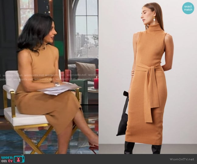 Toccin Tie Front Turtleneck Dress worn by Dr. Tara Narula on Good Morning America