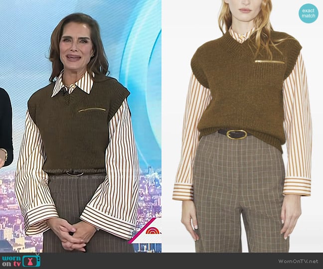 Brooke Shields’s brown belt on Today Brooke Shields’s brown belt on Today