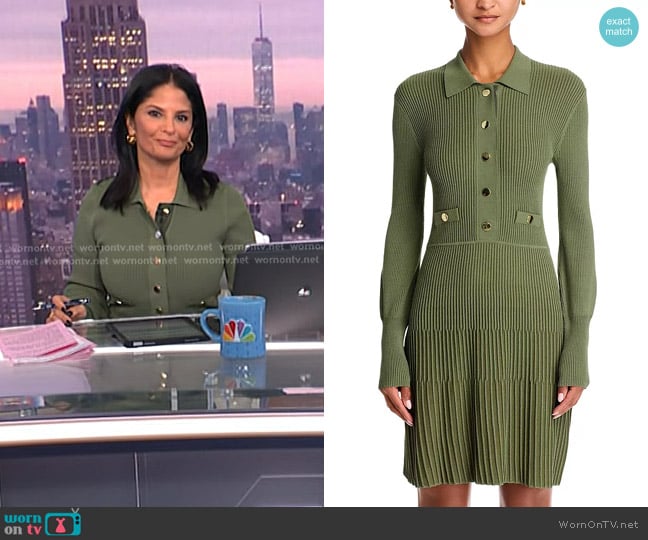 Veronica Beard Lauper Dress in Stone Army worn by Darlene Rodriguez on Today