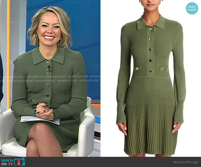 Veronica Beard Lauper Dress in Stone Army worn by Dylan Dreyer on Today