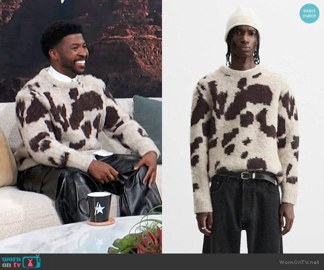 Zara Animal Print Jacquard Sweater worn by Trell Thomas on Access Hollywood