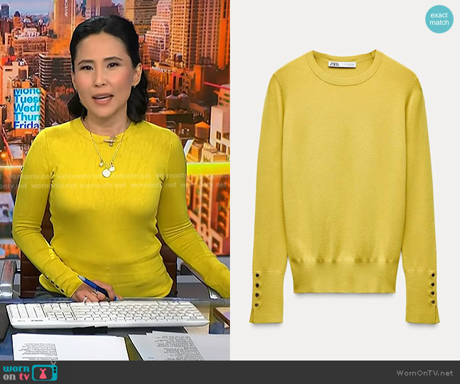 Zara Basic Knit Sweater worn by Vicky Nguyen on NBC News Daily