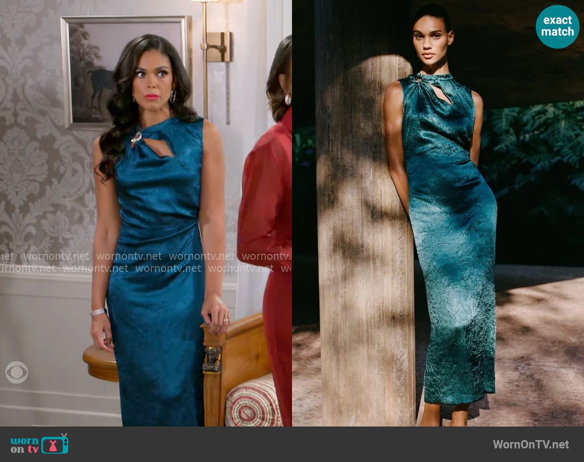 Zara Gold Applique Satin Dress worn by Dani Dupree (Karla Mosley) on Beyond the Gates
