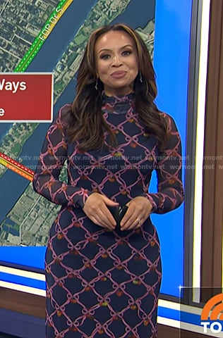 Adelle's navy ribbon print mesh dress on Today