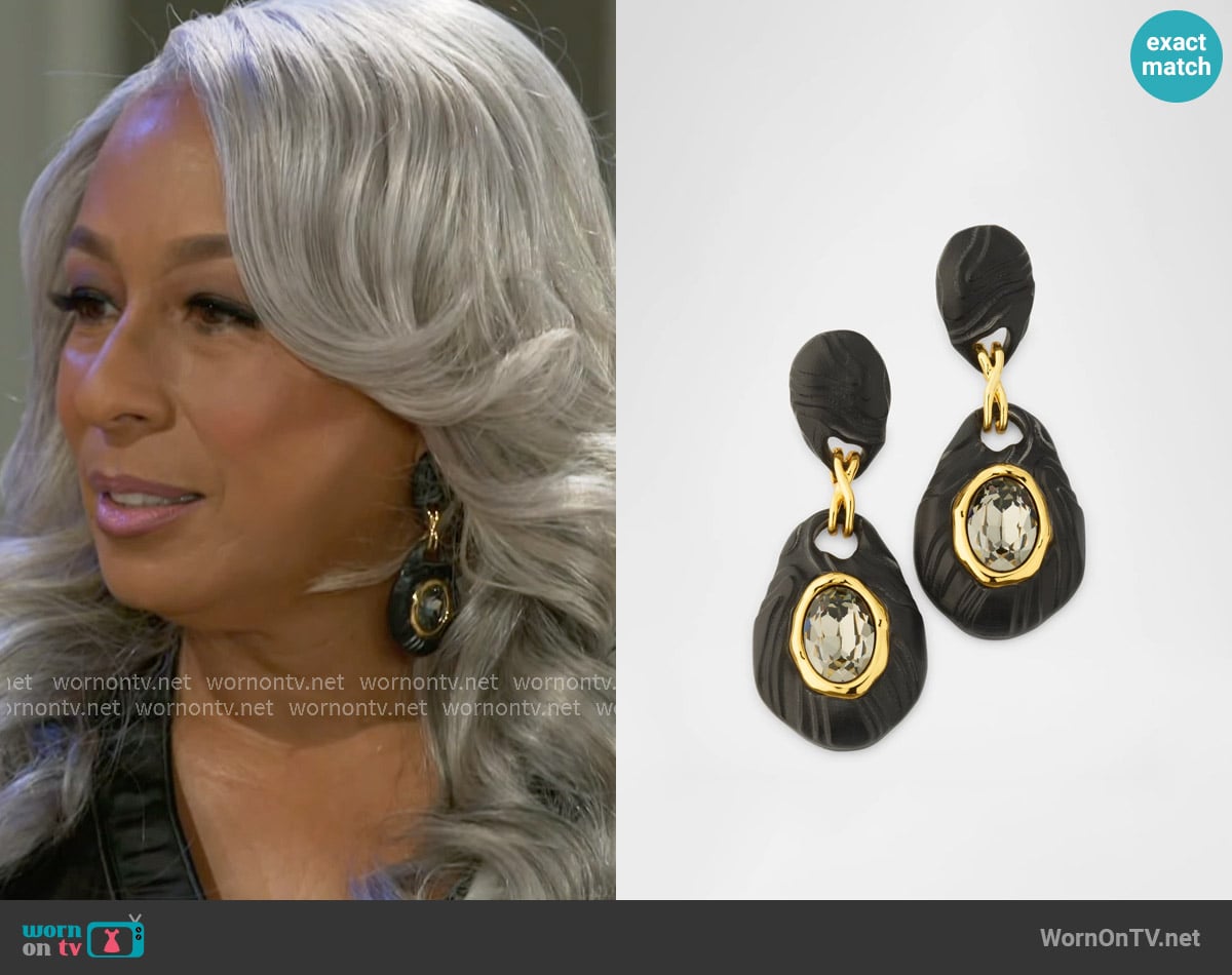 Alexis Bittar Madera Lucite Drop Earrings worn by Anita Dupree (Tamara Tunie) on Beyond the Gates