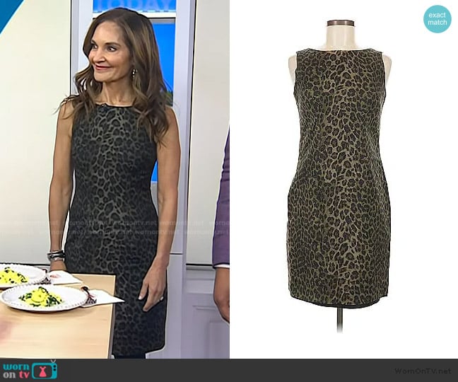 Ann Taylor Leopard Print Dress worn by Joy Bauer on Today