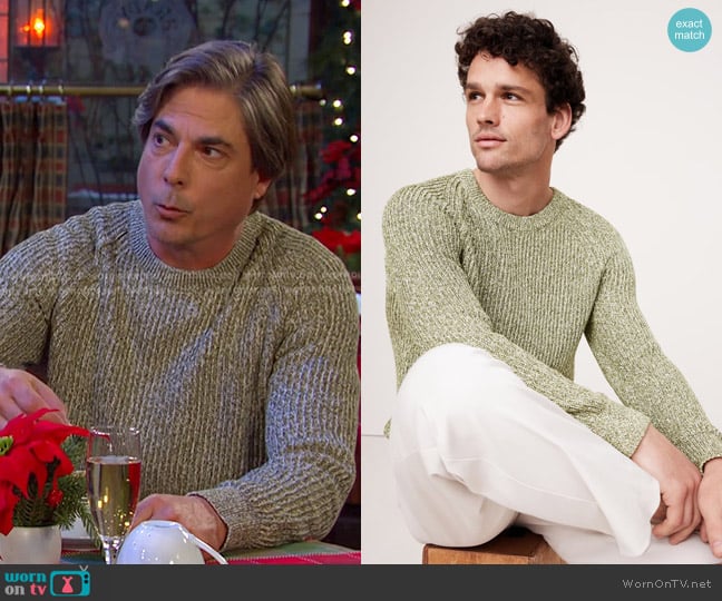 Banana Republic Marled Cotton Ribbed Sweater in Light Olive Green worn by  Lucas Horton (Bryan Dattilo) on Days of our Lives