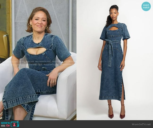 Bibhu Mohapatra Indira Denim Tunic Dress worn by Erika Christensen on Good Morning America