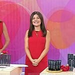 Adrianna’s brown ankle strap platform pumps on Today