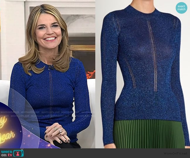 Christopher Kane Sparkle Knit Jumper worn by Savannah Guthrie on Today