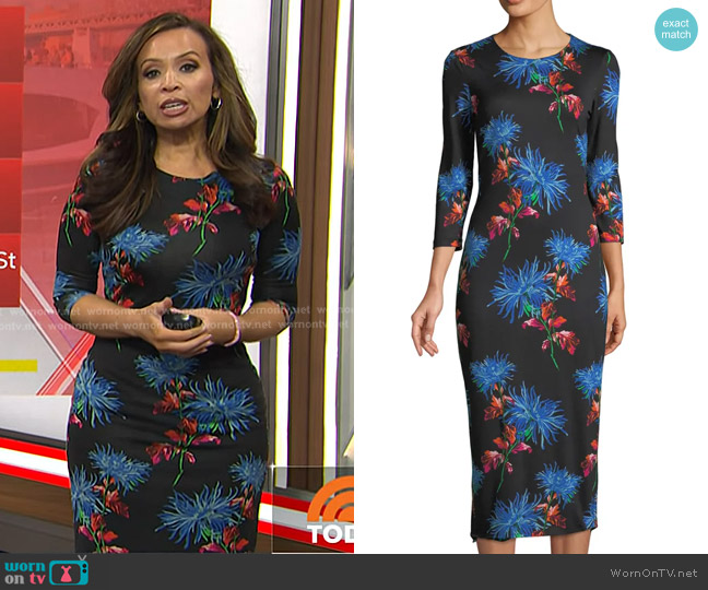 Diane von Furstenberg Saihanna Dress worn by Adelle Caballero on Today