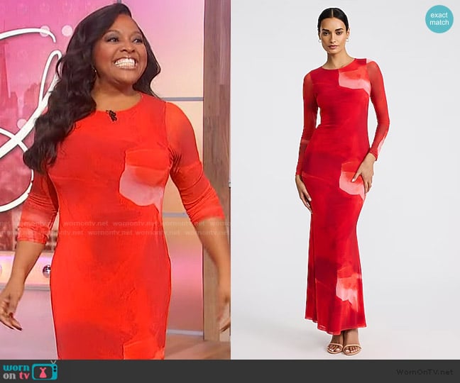 Express Printed Mesh Crew Neck Long Sleeve Maxi Dress worn by Sherri Shepherd on Sherri