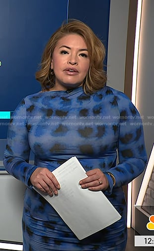 Gilma’s blue plaid dress on NBC News Daily