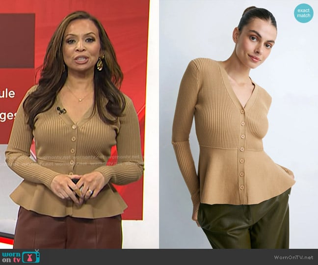Jason Wu Tan V-Neck Cardigan worn by Adelle Caballero on Today