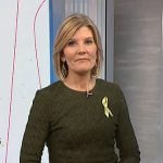 Kate’s green textured mesh top on NBC News Daily