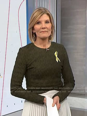 Kate's green textured mesh top on NBC News Daily