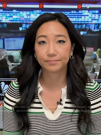 Kathy Park’s striped polo sweater on Today