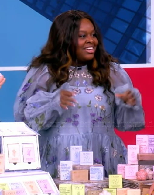 Kristen Dunning's blue floral tulle dress on The View