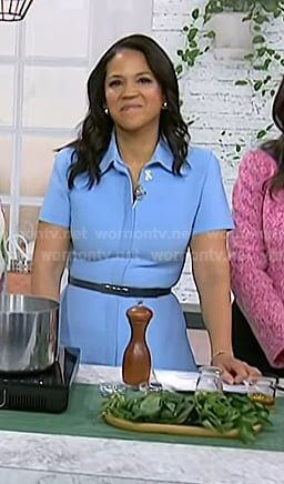Laura's blue collared short sleeve dress on Today