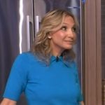 Melina Jampolis’s blue collared sweater on Live with Kelly and Mark