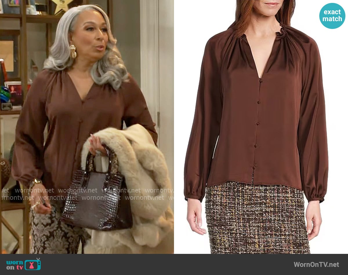 Preston & York Priya Satin V-Neckline Long Sleeve Blouse in Chestnut worn by Anita Dupree (Tamara Tunie) on Beyond the Gates