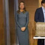 Rhiannon’s blue polka dot print mesh dress on Good Morning America