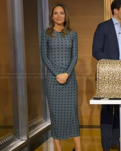 Rhiannon's blue polka dot print mesh dress on Good Morning America