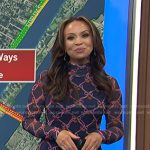 Adelle’s navy ribbon print mesh dress on Today