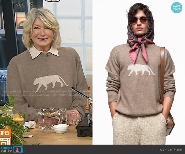Sabyasachi Spot The Tiger Cashmere Sweaters worn by Martha Stewart on Today