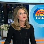 Savannah’s black mesh inset top and beige plaid pleated skirt on Today