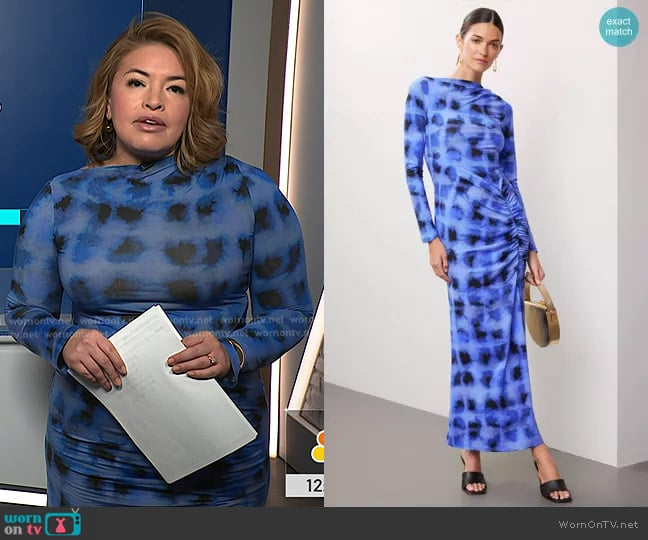 Suboo Shibori Ruched Dress worn by Gilma Avalos on NBC News Daily