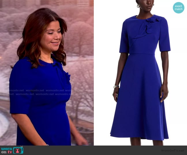 Ana’s blue floral applique sheath dress on The View